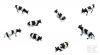 Kit de vaches 7 pi�ces