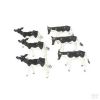 6 veaux Holstein