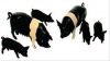 6 porcs noirs