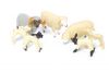 7 moutons