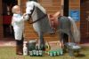V�t�rinaire + cheval + acc. Soins