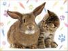 Puzzle Deux copains
