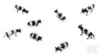 Kit de vaches 7 pi�ces