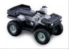 Quad Polaris Magnum 500