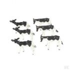 6 veaux Holstein