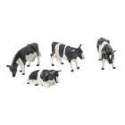 4 vaches frisonnes debout et couch�