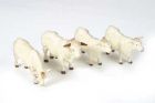 4 vaches - Charolais