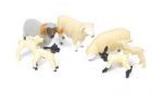 7 moutons