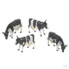 4 vaches frisonnes debout