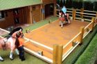 Ar�ne de dressage
