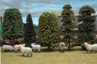 Arbres / Scenic Trees