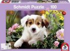 Puzzle Chien Baboo