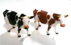 2 vaches 1:32 SIK 2490