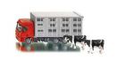 Camion b�taill�re avec vaches