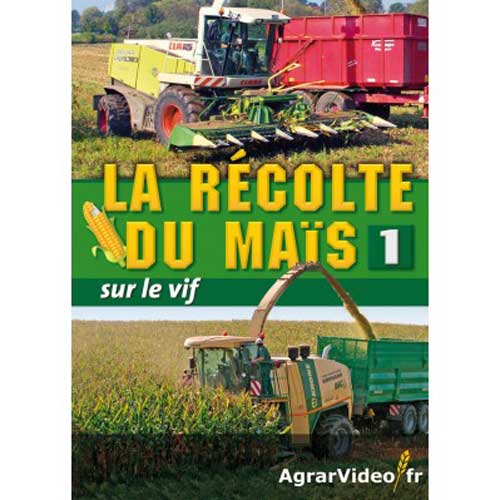 La récolte du maïs