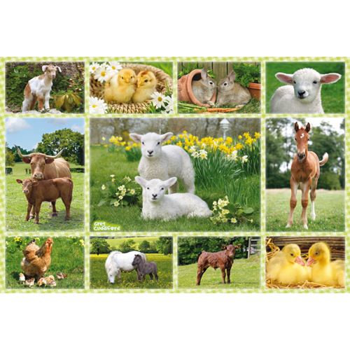 Bebes Animaux A La Ferme 100 Pieces Agripassion Bebes Animaux A La Ferme 100 Pieces Agripassion