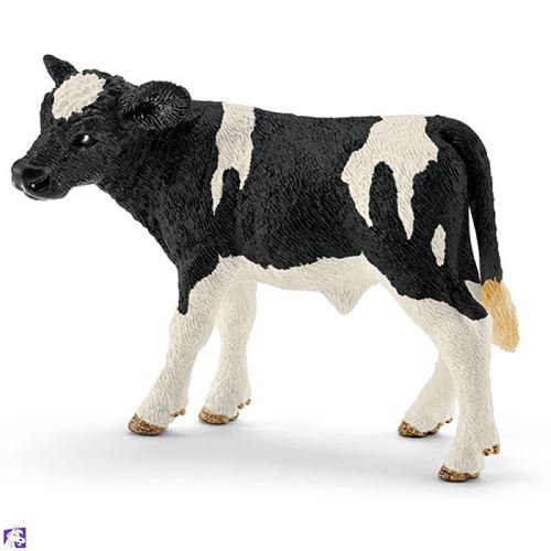 Veau Holstein