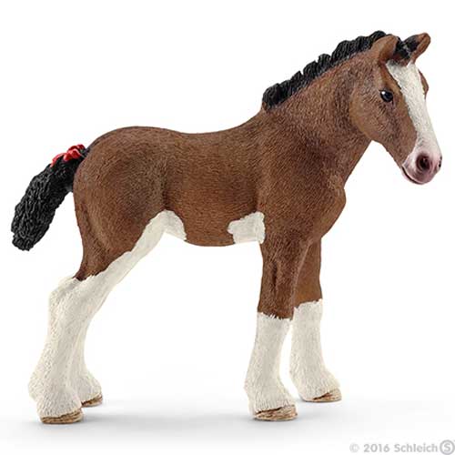 Clydesdale Fohlen