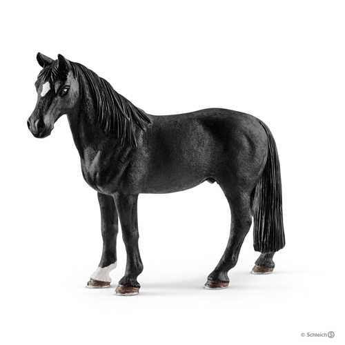 Tennessee Walker Hongre