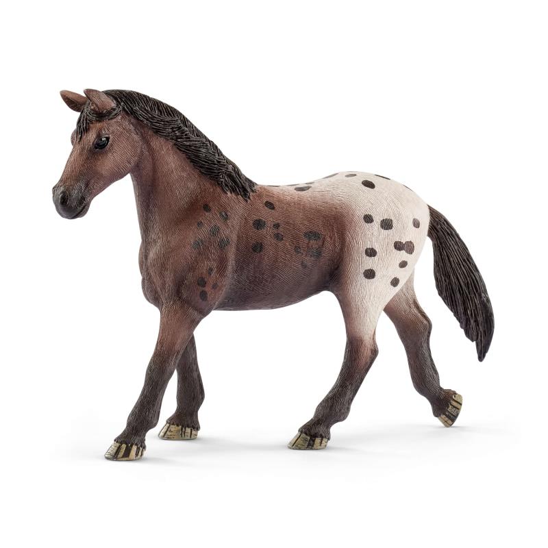 Jument Appaloosa