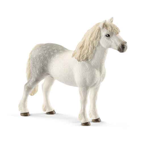 Hongre-pony Welsh