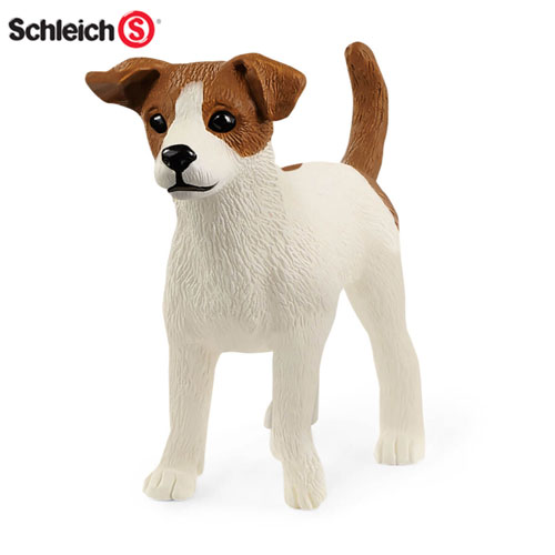 Jack Russell terrier