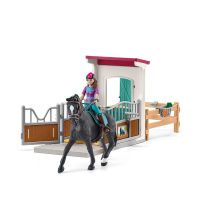 Box pour chevaux avec Lisa & Storm